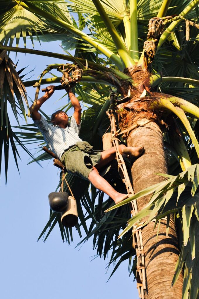 whatsapp image 2026 02 27 at 07.32.57 (1)