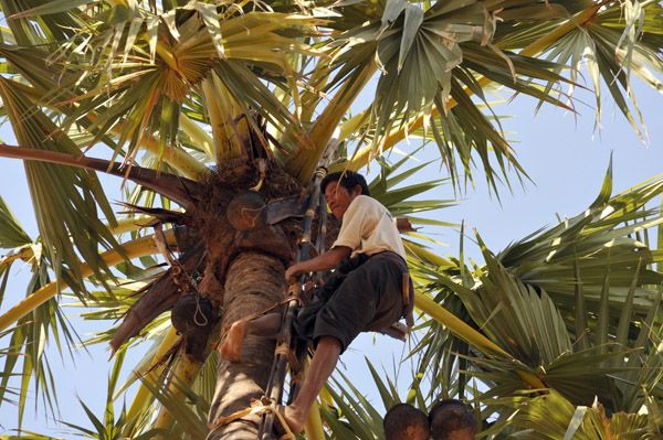 whatsapp image 2026 02 27 at 09.10.41