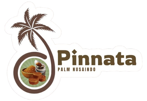 whatsapp image 2026 02 27 at 01.55.29 removebg preview